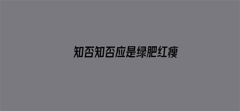 知否知否应是绿肥红瘦 DVD版